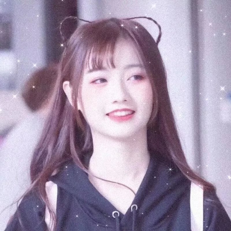 明星伙伴 第一季